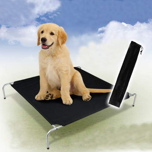 DwellPets Trampoline Dog Bed Extra Large 130 x 110cm & Reviews Temple