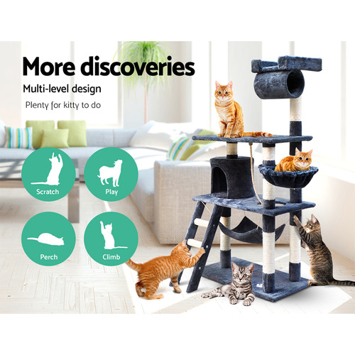 DwellPets 141cm Missy Cat Scratching Tree & Reviews Temple & ster
