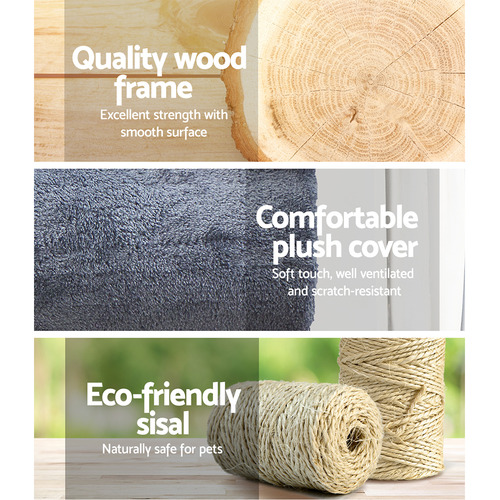 DwellPets 141cm Missy Cat Scratching Tree & Reviews Temple & ster