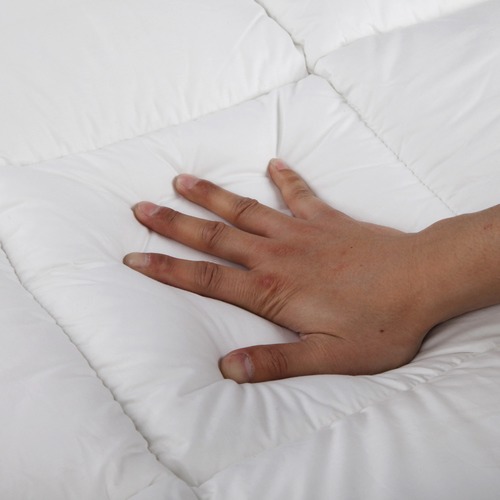 DwellLifestyle Duck Feathers Down Quilt with Bag & Reviews Temple