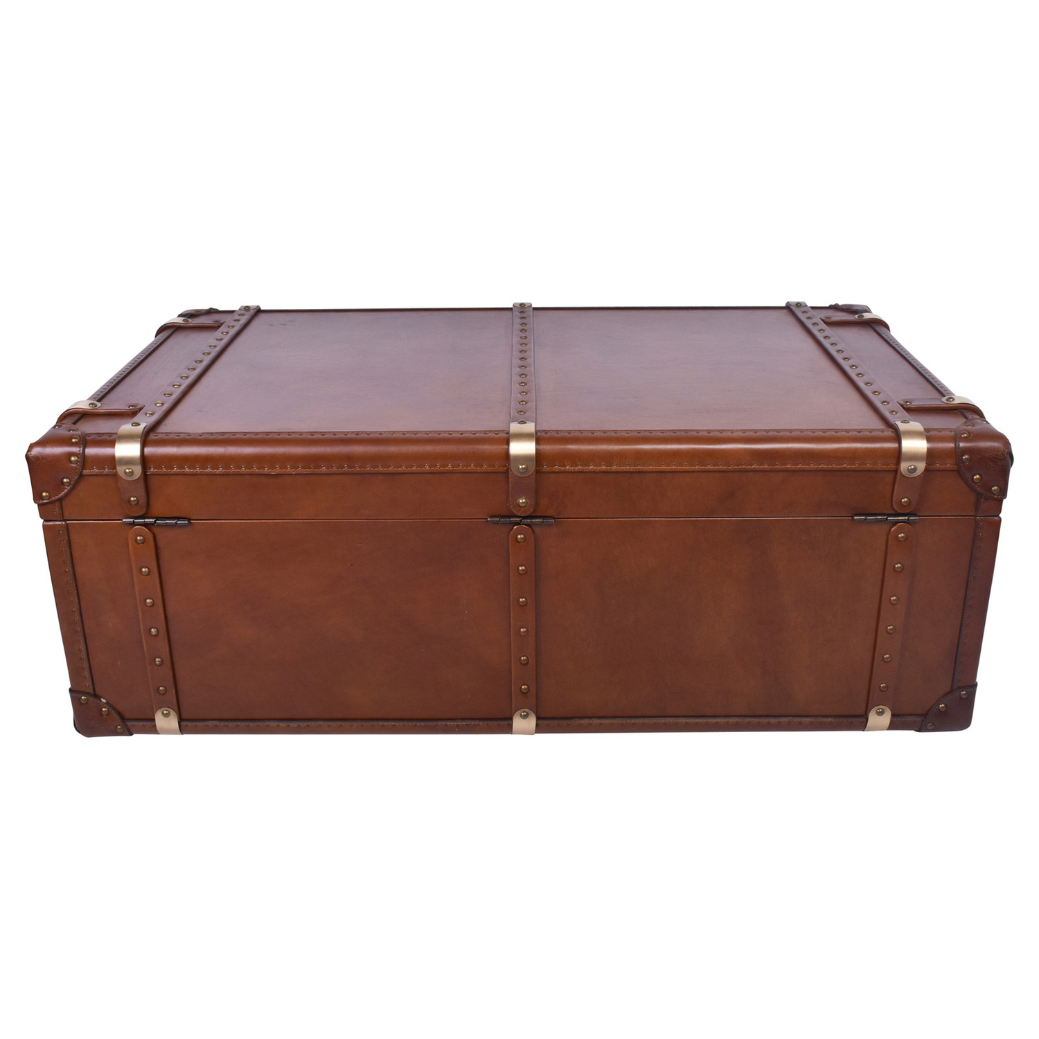 Aleksi Aged Cowhide Leather Coffee Table