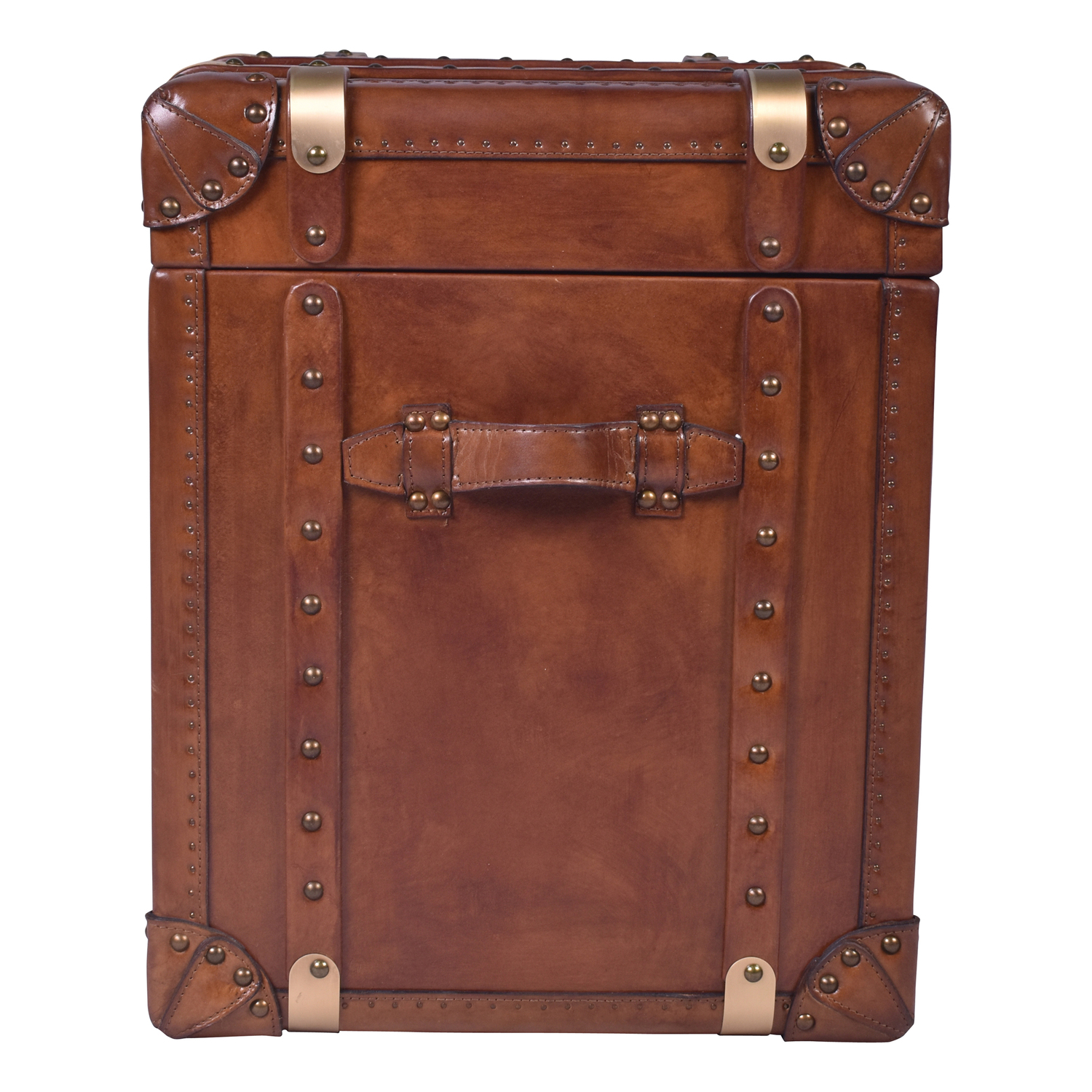 Jeremiel Aged Cowhide Trunk Side Table
