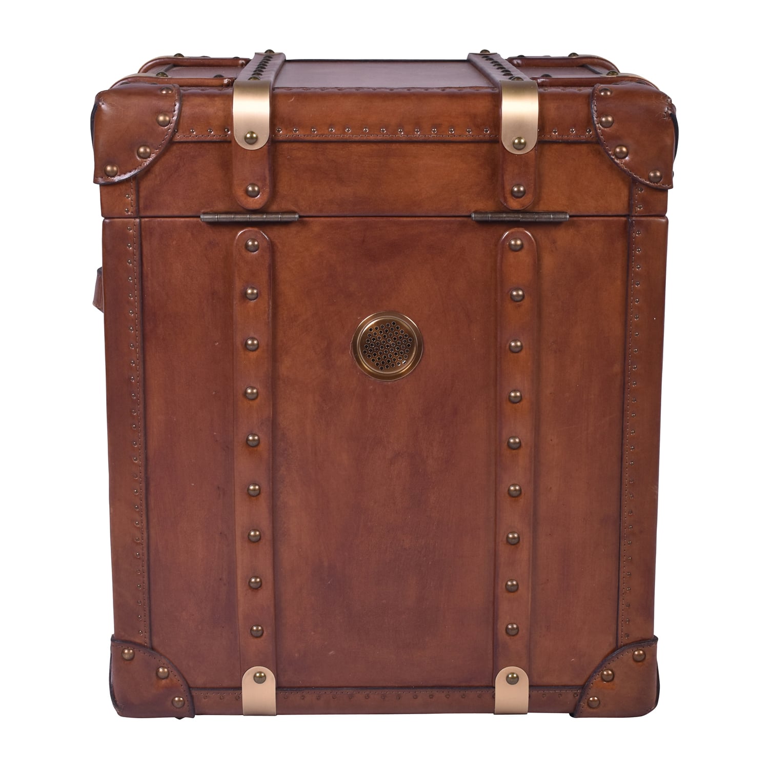 Jeremiel Aged Cowhide Trunk Side Table