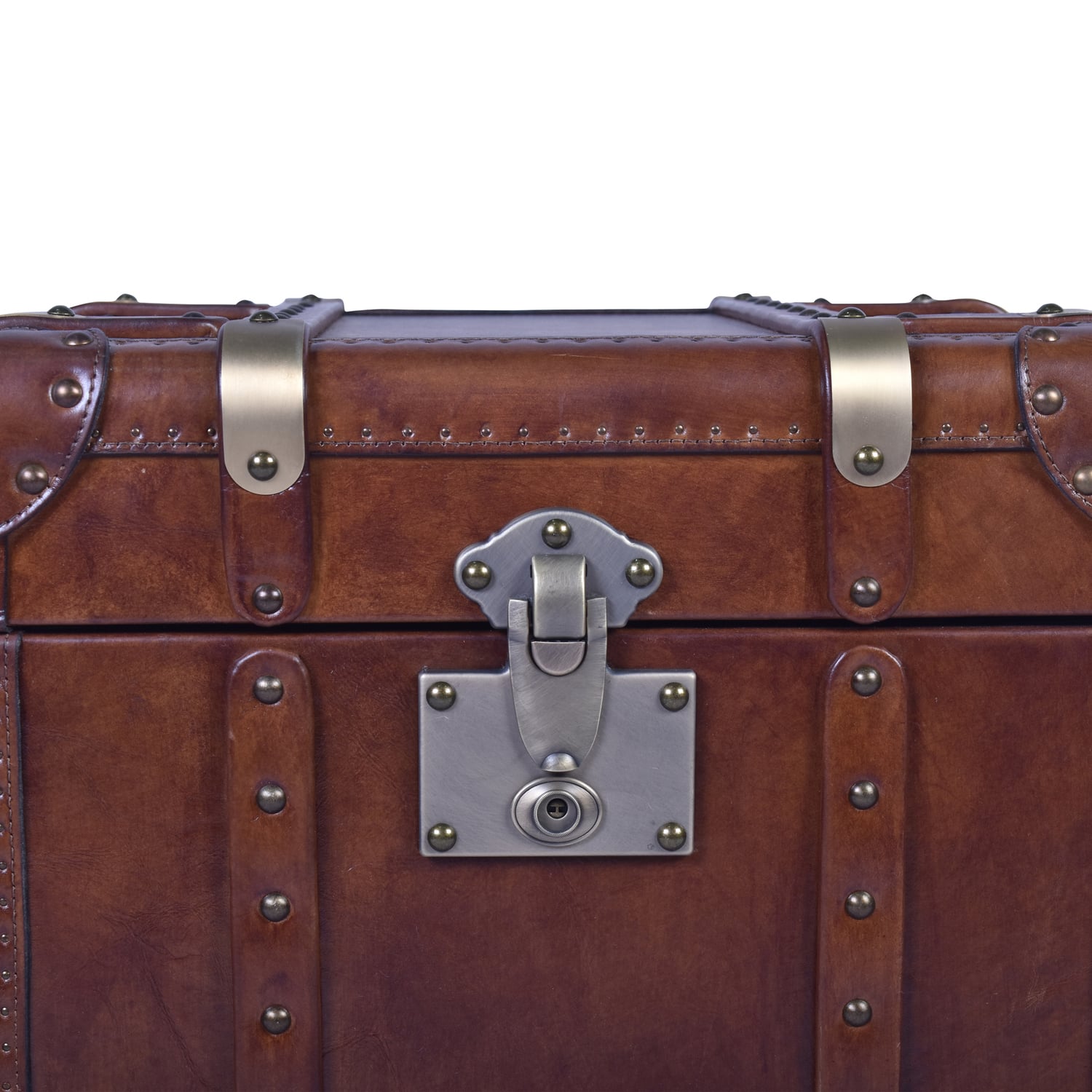 Jeremiel Aged Cowhide Trunk Side Table