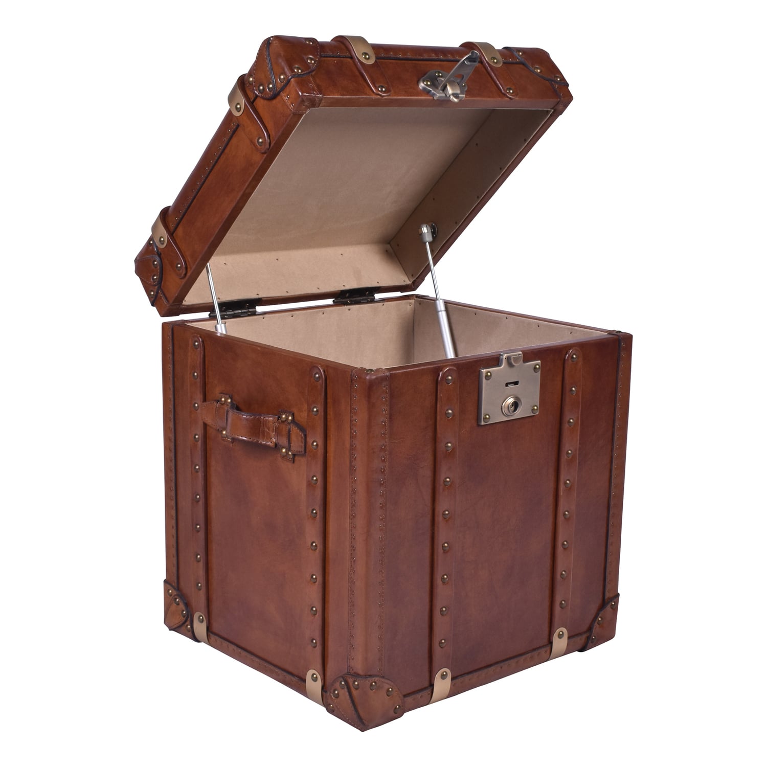 Jeremiel Aged Cowhide Trunk Side Table