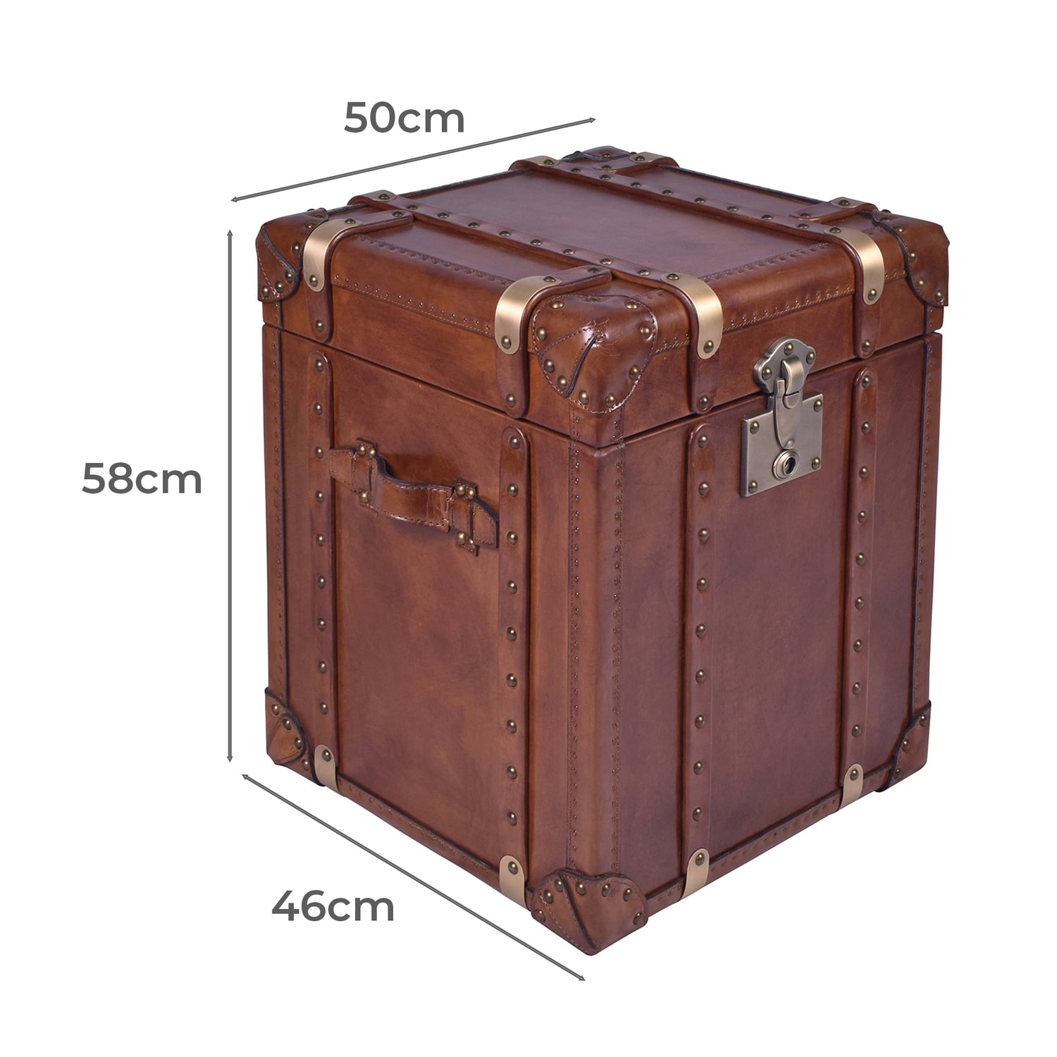 Jeremiel Aged Cowhide Trunk Side Table