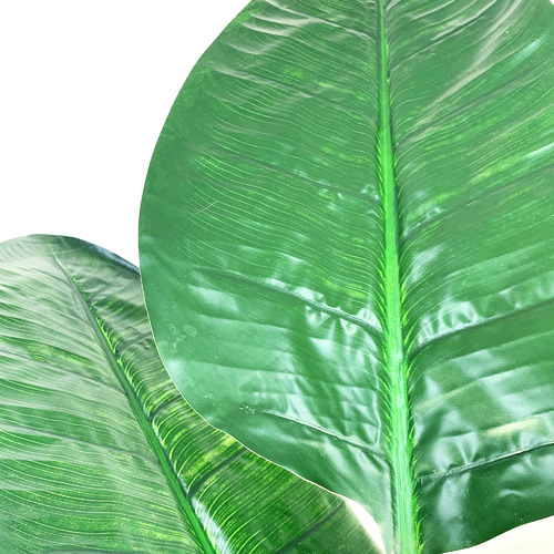 Cooper&CoHomewares 180cm Potted Faux Banana Leaf Tree Temple & ster