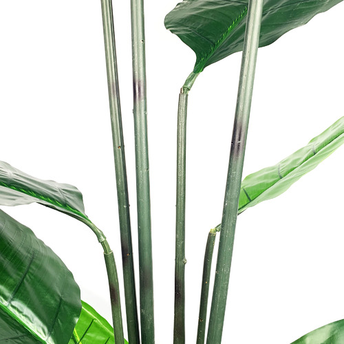 Cooper&CoHomewares 180cm Potted Faux Banana Leaf Tree Temple & ster