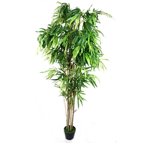 Cooper&CoHomewares 180cm Potted Faux Bamboo Tree & Reviews | Temple ...