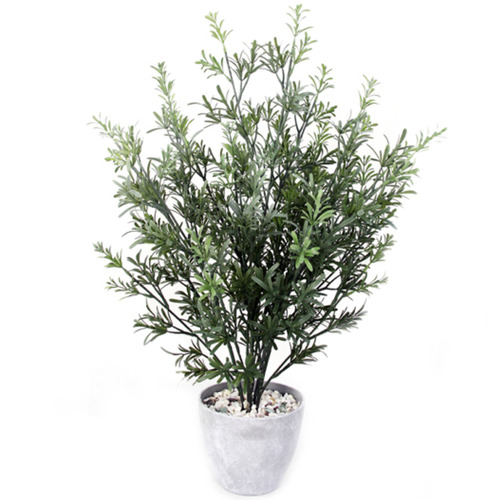 Maddison Lane 79cm Potted Faux Rosemary Tree Temple & ster