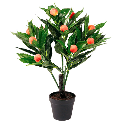 50cm Potted Faux Peach Tree | Temple & Webster