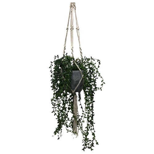 Maddison Lane 106cm Potted Faux Hanging Pearl Plant Temple & ster