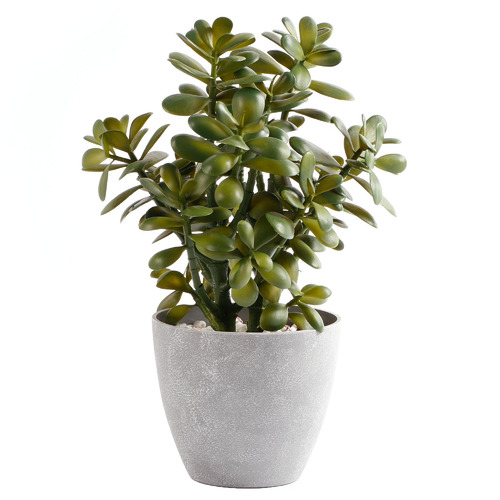 Maddison Lane 41cm Potted Faux Jade Plant | Temple & Webster