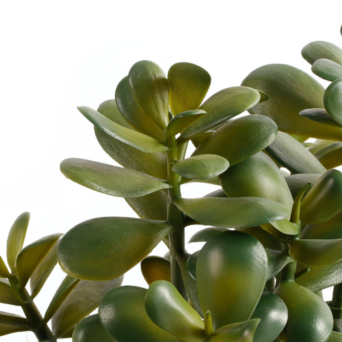 Maddison Lane 41cm Potted Faux Jade Plant Temple & ster