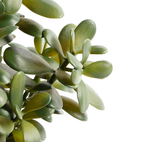 Maddison Lane 41cm Potted Faux Jade Plant Temple & ster