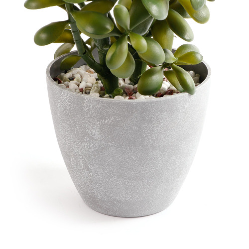 Maddison Lane 41cm Potted Faux Jade Plant Temple & ster