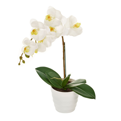 Maddison Lane 50cm Potted Faux Orchid Plant 