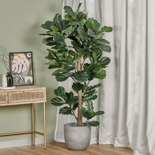 Maddison Lane 190cm Potted Faux Fiddle Leaf Plant & Reviews | Temple ...