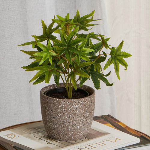 Maddison Lane 24cm Potted Faux Maple Plant | Temple & Webster