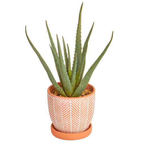 Maddison Lane 41cm Potted Faux Aloe Vera Plant Temple & ster