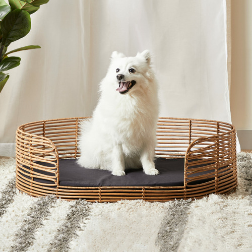 Maddison Lane Natural Anastasius Oval Rattan Pet Bed | Temple & Webster