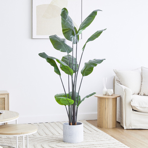 Maddison Lane 180cm Potted Faux Banana Leaf Plant | Temple & Webster