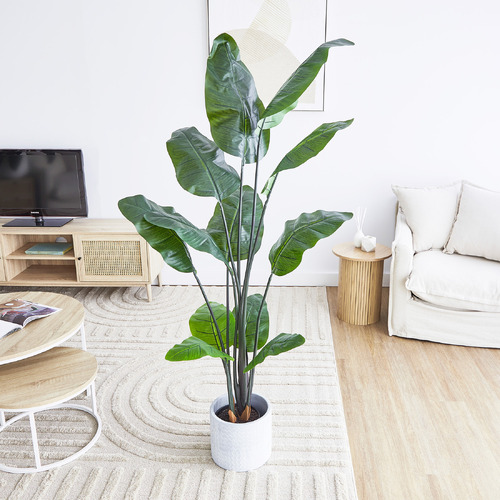 Maddison Lane 180cm Potted Faux Banana Leaf Plant | Temple & Webster