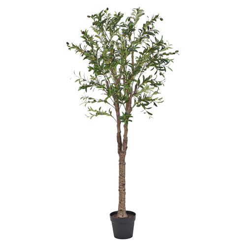 170cm Potted Faux Olive Tree
