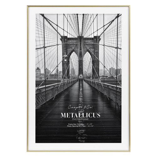 Odin 24 x 36" Metal Photo Frame