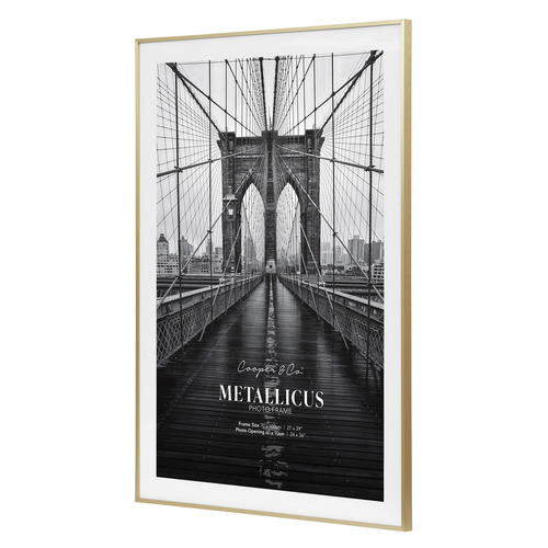 Odin 24 x 36" Metal Photo Frame