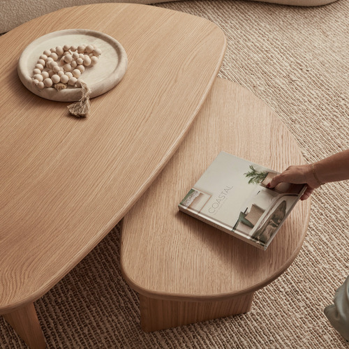 2 Piece Fallyn Nesting Coffee Table Set