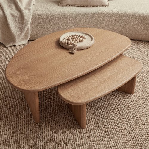 2 Piece Fallyn Nesting Coffee Table Set