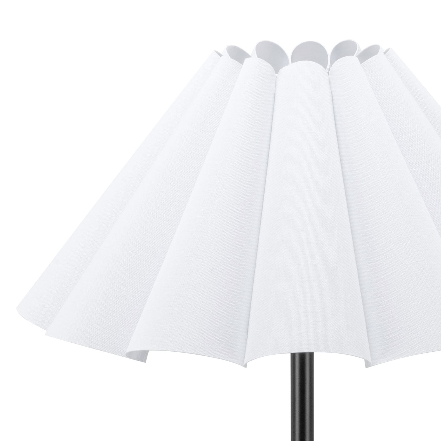 Zoila Iron Floor Lamp