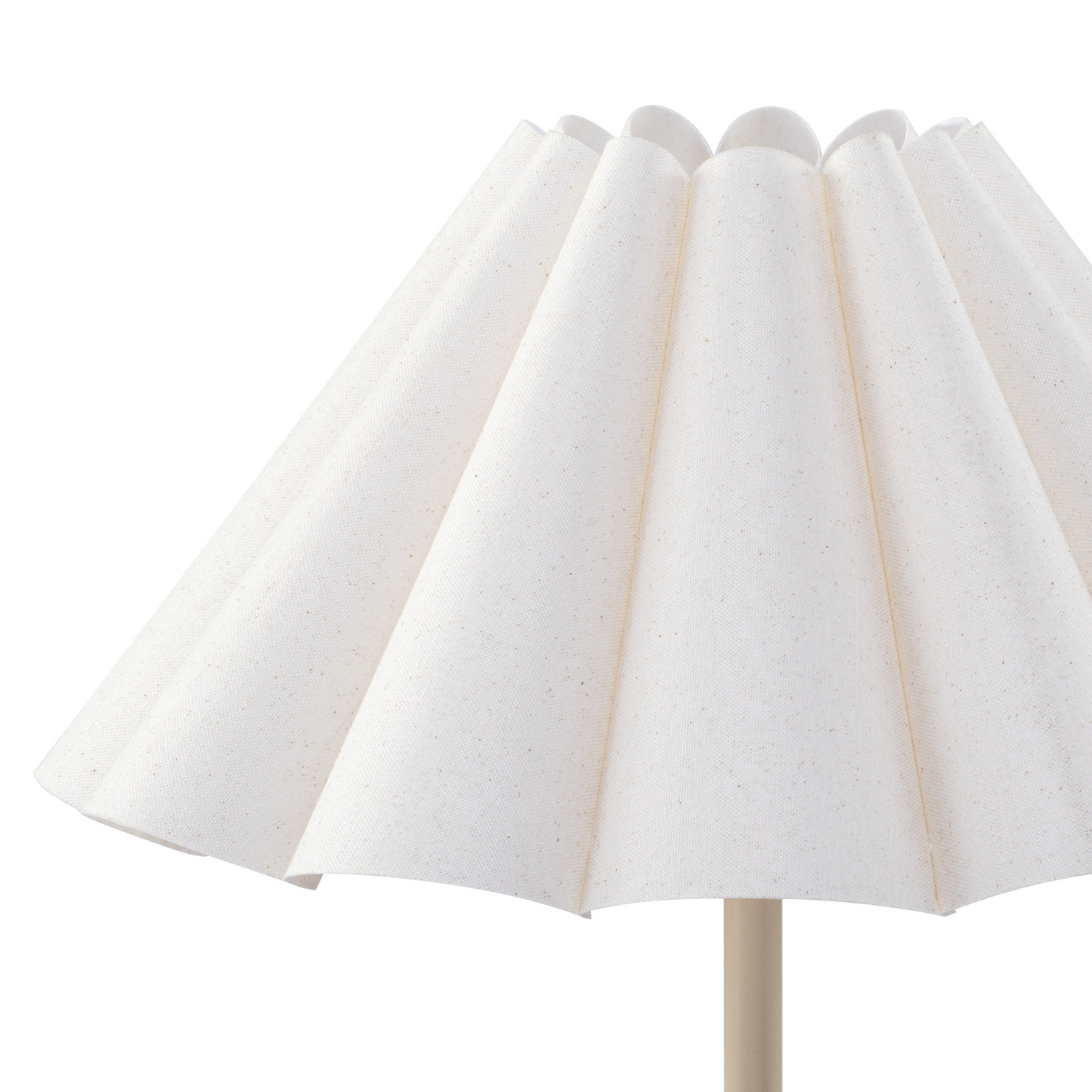 Zoila Iron Floor Lamp