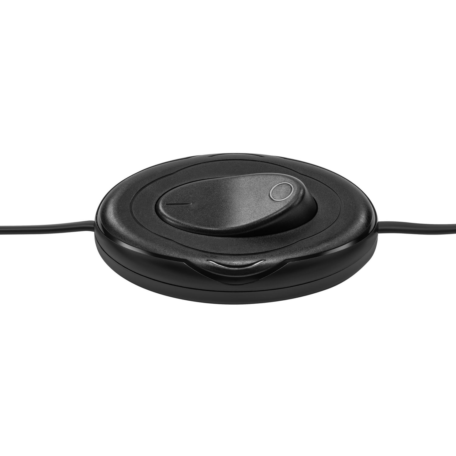 Zoila Iron Floor Lamp