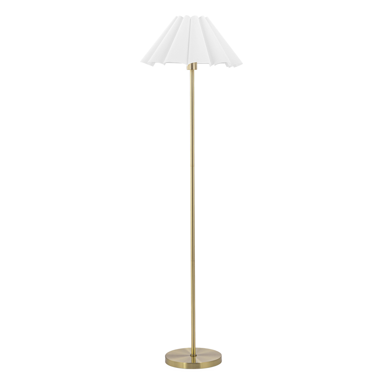Zoila Iron Floor Lamp
