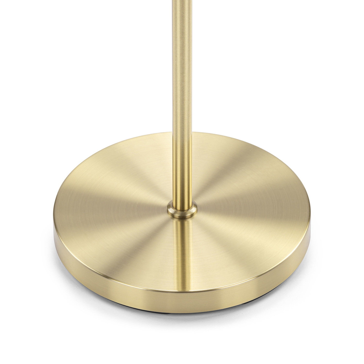 Zoila Iron Floor Lamp