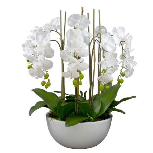 GlamorousFusion 55cm Faux Phal Orchid with Ceramic Pot | Temple & Webster