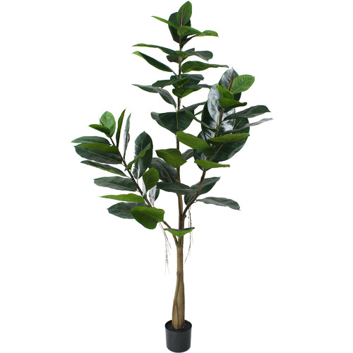 GlamorousFusion 180cm Potted Faux Rubber Tree & Reviews ...