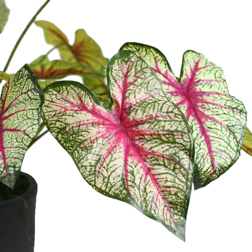 GlamorousFusion 40cm Potted Faux Caladium Bush Temple & ster