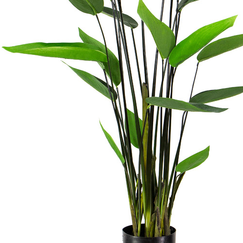 GlamorousFusion 125cm Potted Faux Water Canna Plant Temple & ster