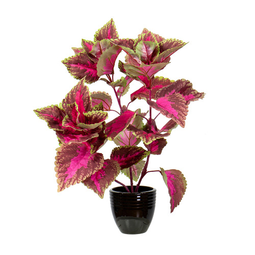 GlamorousFusion 55cm Potted Faux Coleus Bush Plant & Reviews Temple