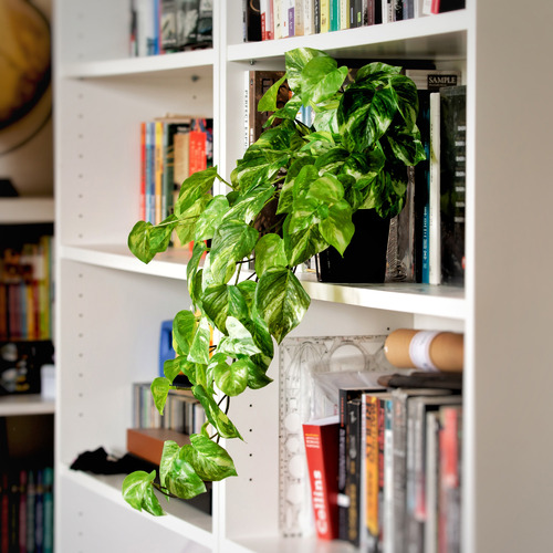 60cm Potted Faux Pothos Plant Temple & ster