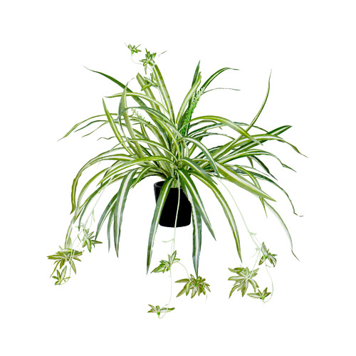 45cm Potted Faux Spider Plant