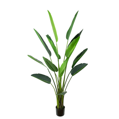 185cm Potted Faux Traveller Palm Tree