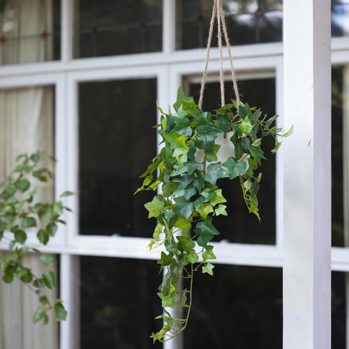 pollen&fauna 98cm Potted Faux Hanging English Ivy Plant Temple & ster