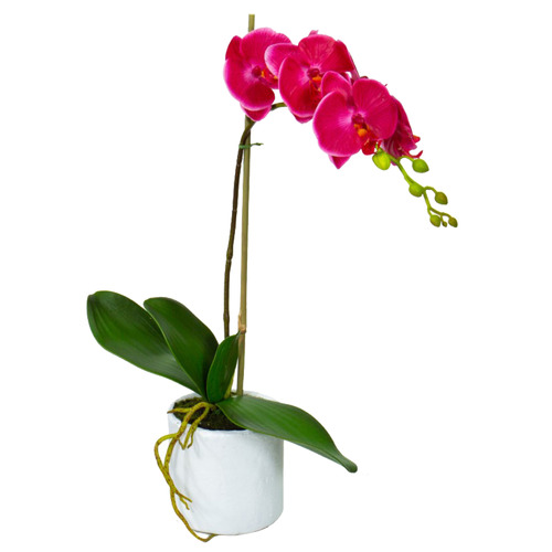 GlamorousFusion 48cm Potted Faux Fuchsia Orchid Plant | Temple & Webster