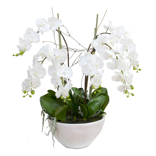 GlamorousFusion 75cm Potted Faux Phalaenopsis Orchid Plant | Temple ...