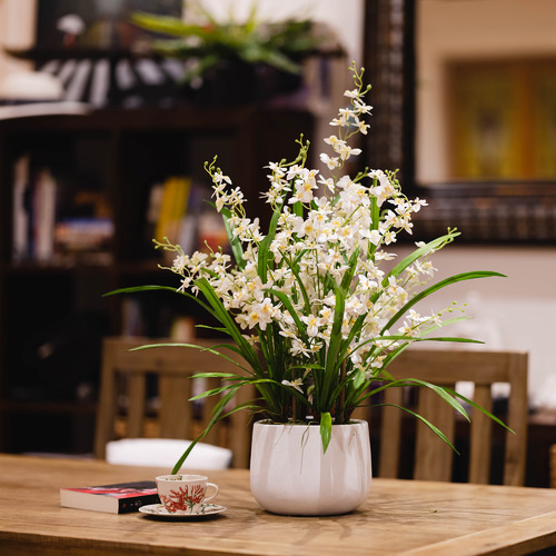 78cm Potted Faux Cream Dancing Lady Orchid Plant in Ceramic Pot