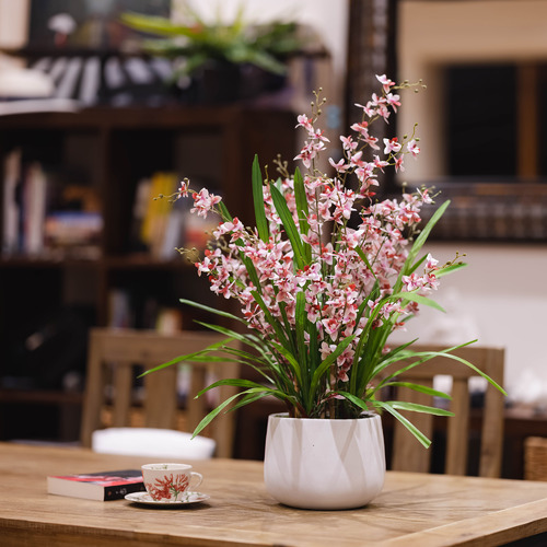 78cm Potted Faux Pink Dancing Lady Orchid Plant in Ceramic Pot